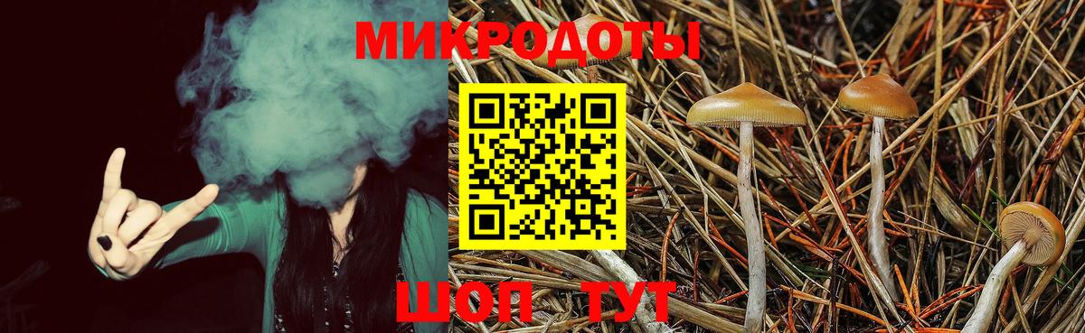 Балахна  Псилоцибиновые грибы Psilocybine cubensis  где купить наркотик  Вход с VPN 